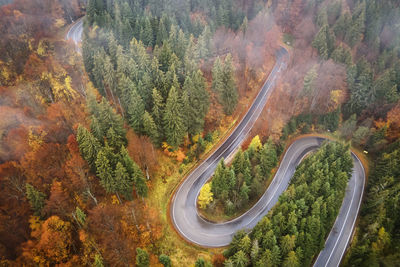 High angle view of road amidst trees in forest