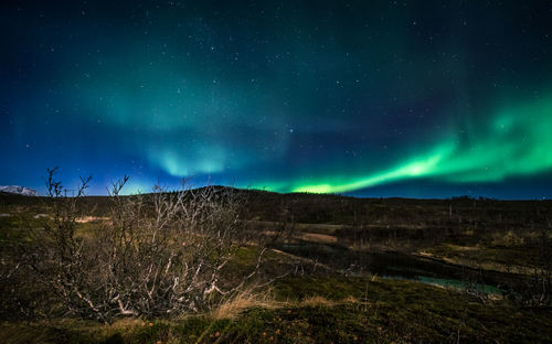 Scenic view of landscape against sky at night