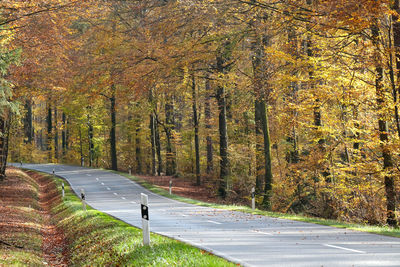 Empty road amidst trees in forest during autumn