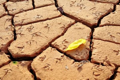 Full frame shot of cracked sand