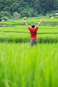 Rear view of a man in the field