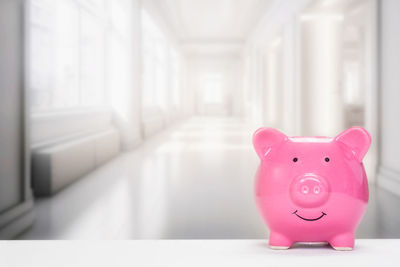 Midsection of woman holding piggy bank