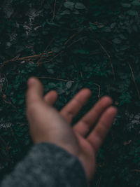 High angle view of human hand on land