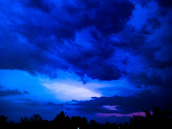 Low angle view of silhouette trees against sky at night