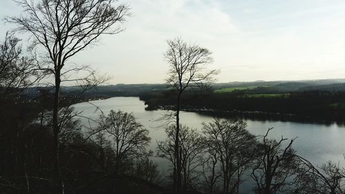 Reflection of bare trees in lake