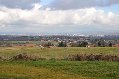 Scenic view of field against sky