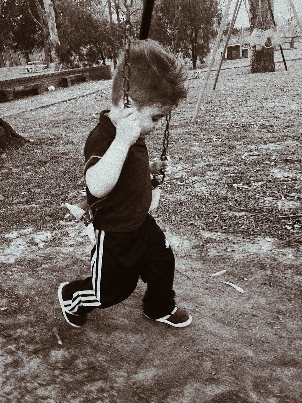 BOY PLAYING ON TREE