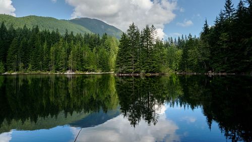 Scenic view of lake by trees against sky