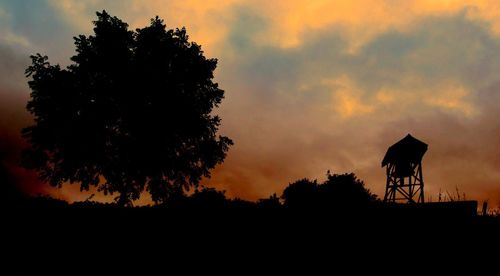 Silhouette trees against sky during sunset