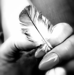 Close-up of hand holding flower