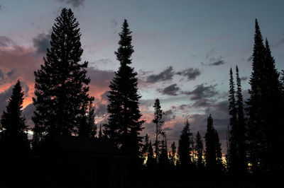 Low angle view of trees against sky