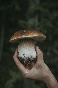 Cropped hand holding freshly harvested porcini mushroom