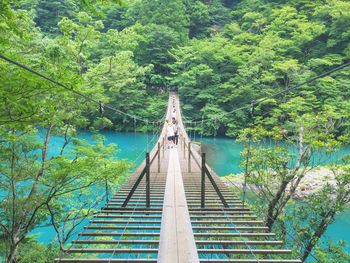 Footbridge amidst trees in forest against sky