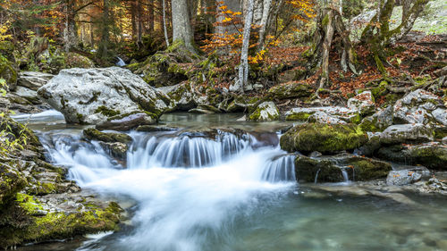 View of waterfall in forest