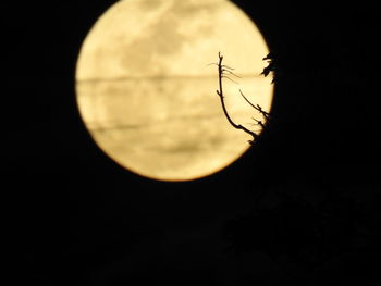 Close-up of silhouette moon against sky at night