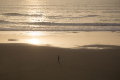 Silhouette person on beach against sky during sunset