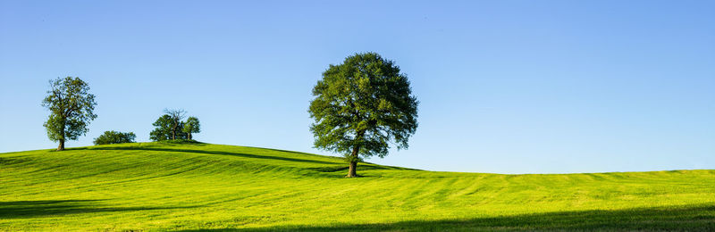 Scenic view of land against clear sky