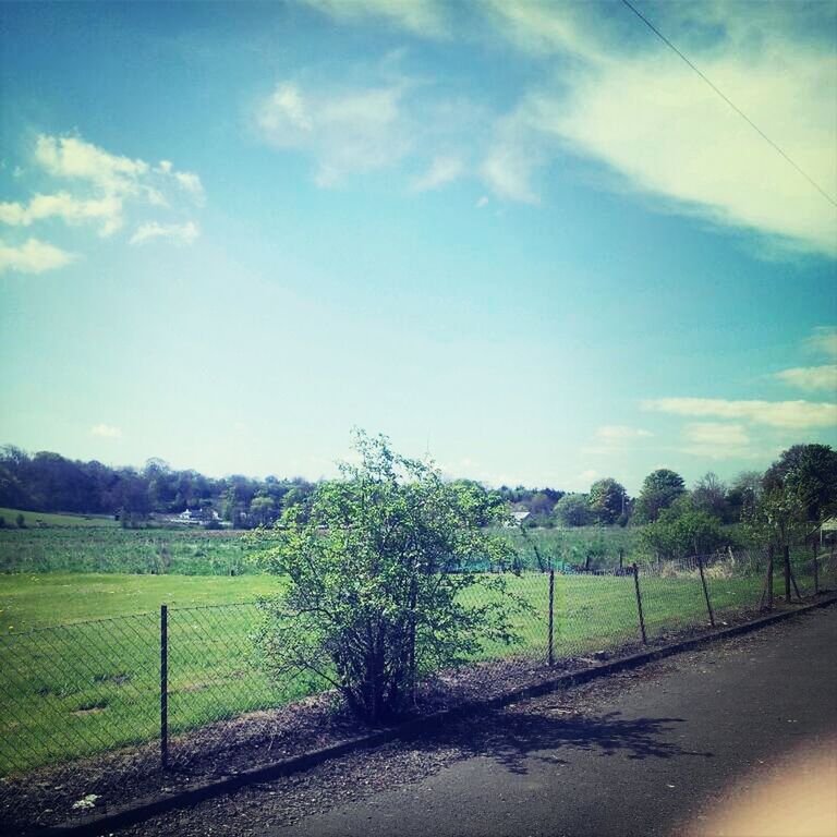 sky, tranquility, tranquil scene, landscape, field, grass, tree, fence, nature, scenics, beauty in nature, cloud - sky, green color, road, growth, cloud, rural scene, grassy, day, non-urban scene