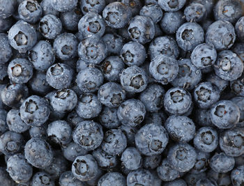 Full frame shot of blueberries