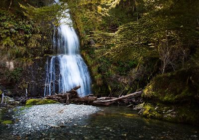 Scenic view of waterfall in forest