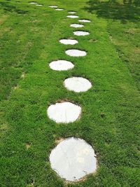 High angle view of grassy field