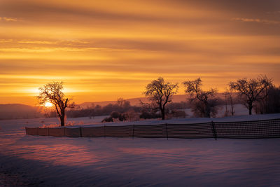 Scenic view of field against orange sky during winter