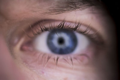 Close-up of woman's eye