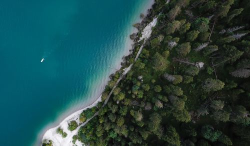 High angle view of sea and trees