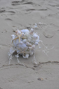 Close-up of rose on sand at beach