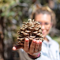 Close-up of woman holding pine cone