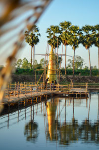 Reflection of palm trees in lake against sky