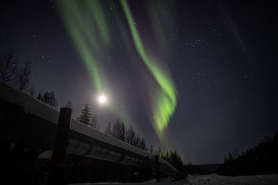 Aurora  over the trans-alaskan pipeline.