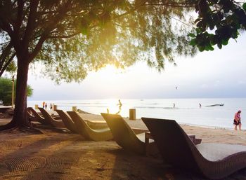 Lounge chairs at beach