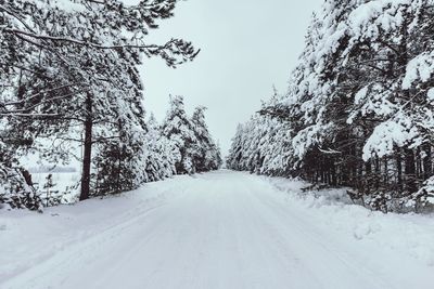 Snow covered road amidst trees against sky