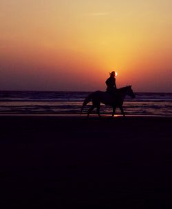 Silhouette man riding horse sitting on beach against sky during sunset