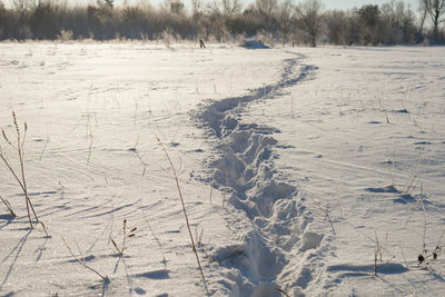 Footpath in a snowy meadow, on a cold winter day