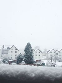 Bare trees in front of building