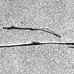 Full frame shot of tiled floor