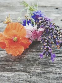 Close-up of flower