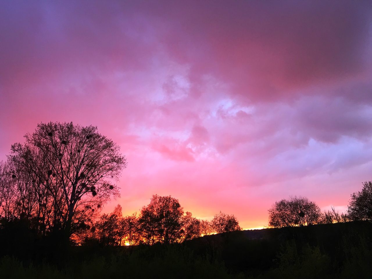 silhouette, sunset, sky, tree, beauty in nature, scenics, tranquil scene, tranquility, cloud - sky, dramatic sky, nature, idyllic, landscape, orange color, cloud, cloudy, field, growth, outdoors, atmospheric mood