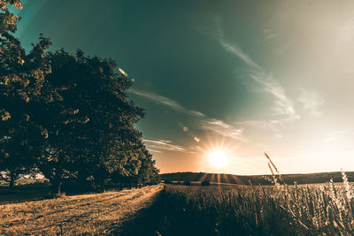 Scenic view of field against sky at sunset