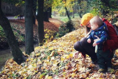 Boy and leaves on tree during autumn