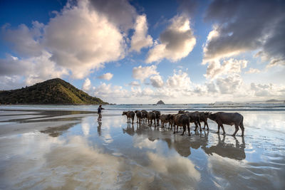 Panoramic view of people on beach against sky