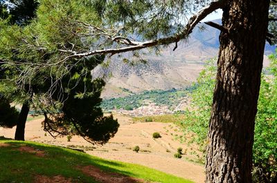 Scenic view of tree mountains against sky