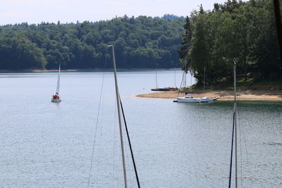 Scenic view of lake against trees