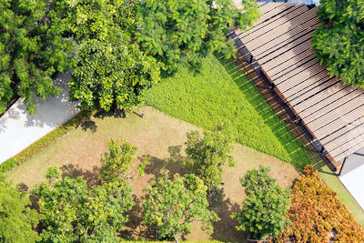 High angle view of trees growing on field in modern garden 