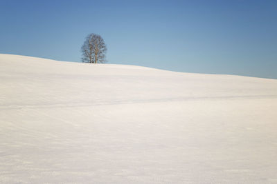 Scenic view of snow covered land against clear blue sky