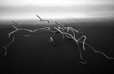Aerial view of land against sky