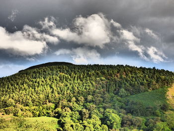 Landscape with mountain range in background