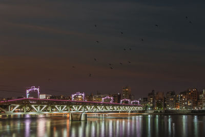 Birds flying at sunset over the asakusa riverside and the illuminated tobu line sumida river bridge.